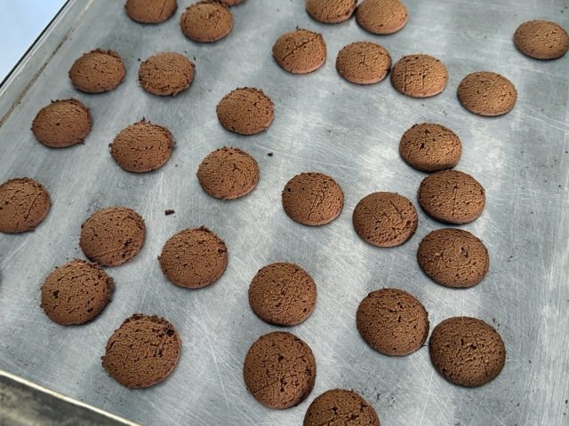 Mushroom biscuits made with mushroom powder at Divin Mushroom Farm